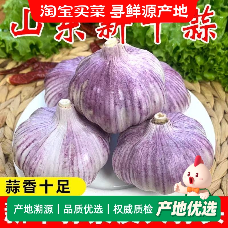 新干蒜山东农家干大蒜紫皮特大蒜王新鲜蒜头便宜批发特级干蒜