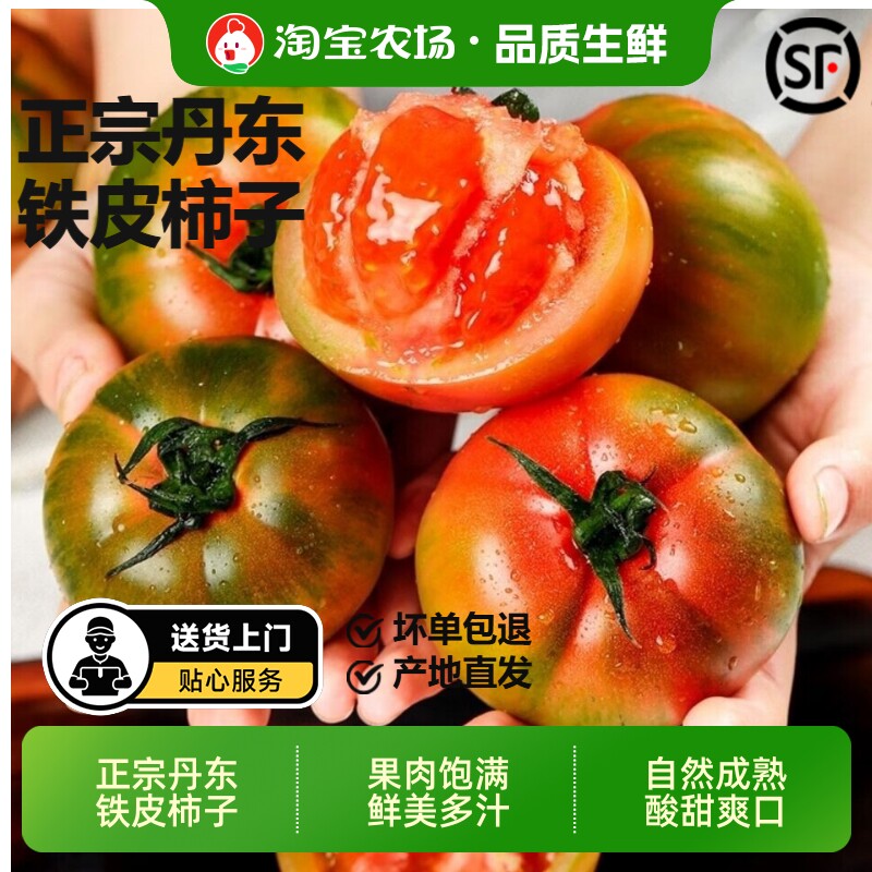 正宗铁皮草莓柿子新鲜当季西红柿生吃水果东北番茄酸甜