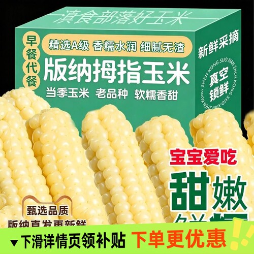 云南西双版纳拇指玉米即食早餐代餐新鲜傣家甜香糯迷你小玉米健康