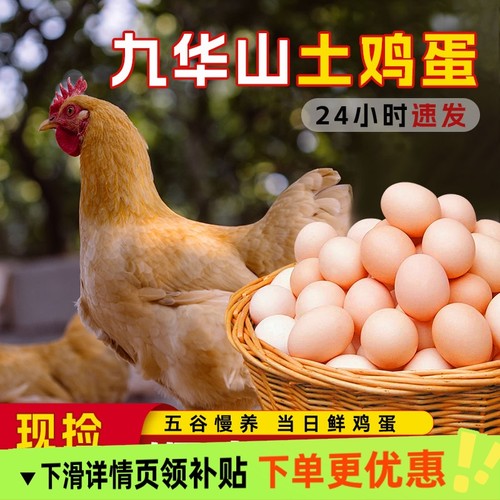 顺丰包邮100枚九华山正宗散养土鸡蛋笨鸡蛋柴鸡蛋月子蛋40枚