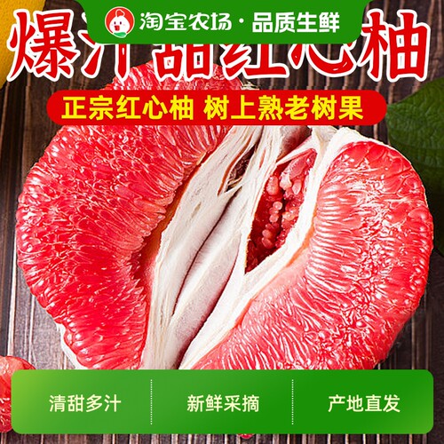 正宗平和琯溪红心柚子琯溪蜜柚新鲜当季红肉柚水果农场现摘直发