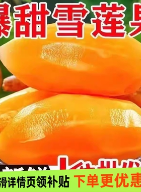 西南特产雪莲果新鲜水果云南黄心天山雪连果整箱包邮优质
