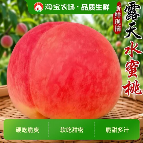 新鲜水蜜桃当季现摘毛桃子时令水果脆甜春雪蜜桃整箱源头保存采摘
