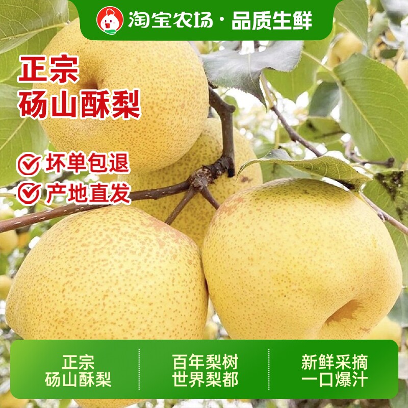 正宗安徽砀山黄皮酥梨现摘脆甜当季水果坏果整箱包邮新鲜农场直发