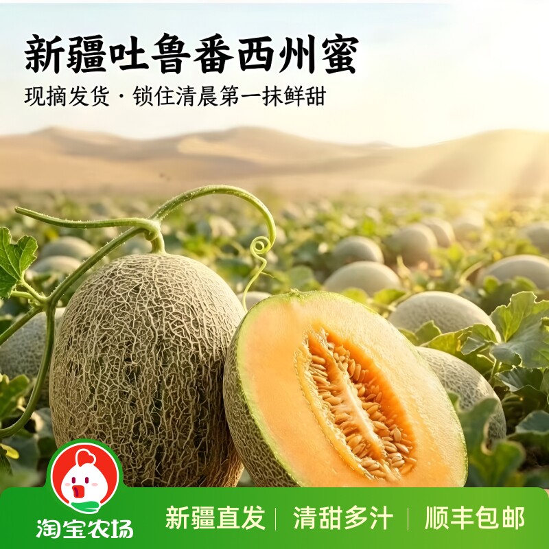 正宗新疆吐鲁番哈密瓜西州蜜产地发货应季新鲜鲜果果蔬蜜瓜现摘