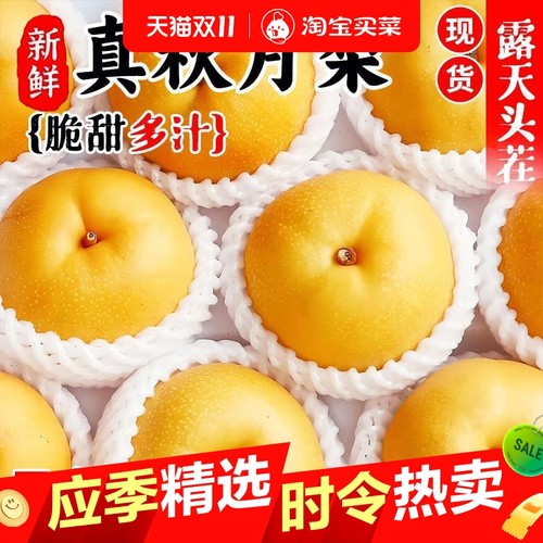 秋月梨水果特大梨梨子新鲜10斤水果脆甜当季新鲜酥脆