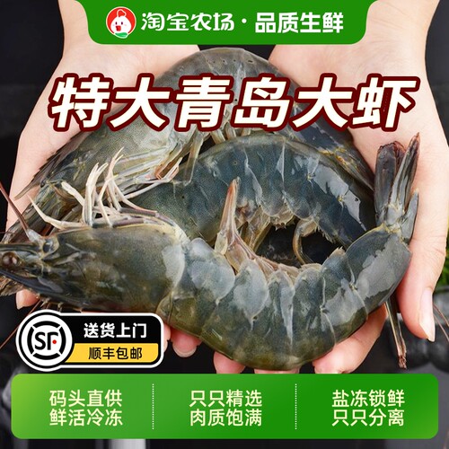 新鲜大虾鲜活超大基围虾青岛大虾