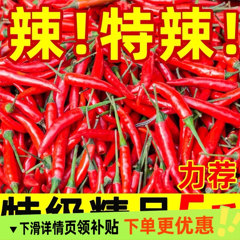 小米辣椒新鲜批发指天椒薄皮辣椒