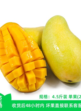 【芭芭农场】金煌芒4.5斤装单果250g+ 初期果皮偏青需催熟后食用