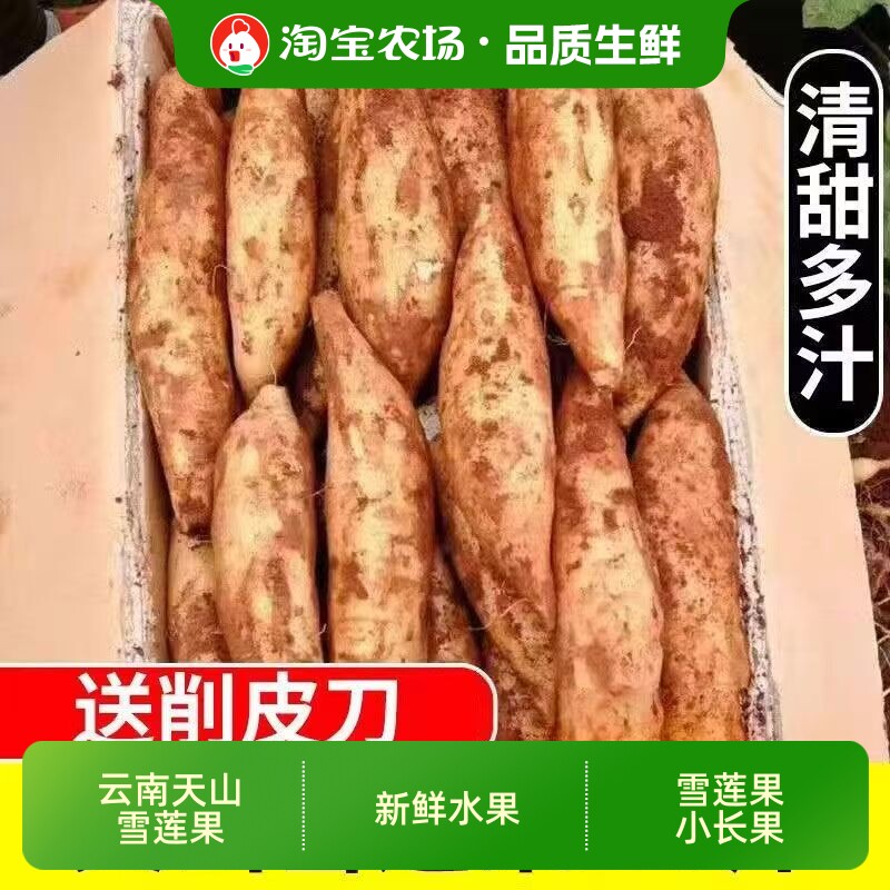 云南天山雪莲果小长果新鲜水果当季应季孕妇大果红泥包邮