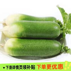 潍坊青萝卜水果萝卜甜脆潍县沙地萝卜潍坊农科院基地正宗当季蔬菜