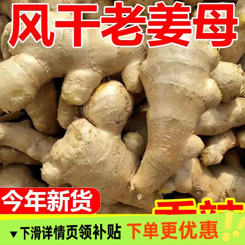 正宗山东水洗风干生姜姜大姜生姜老姜大黄姜月子姜批发无硫姜姜块
