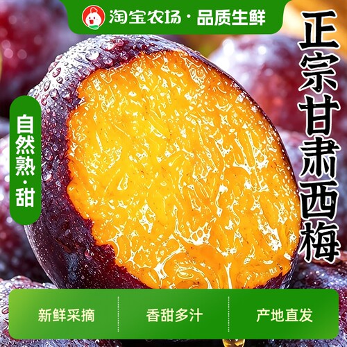正宗甘肃西梅新鲜水果当季树上熟法兰西孕妇水果李子大果直发保存