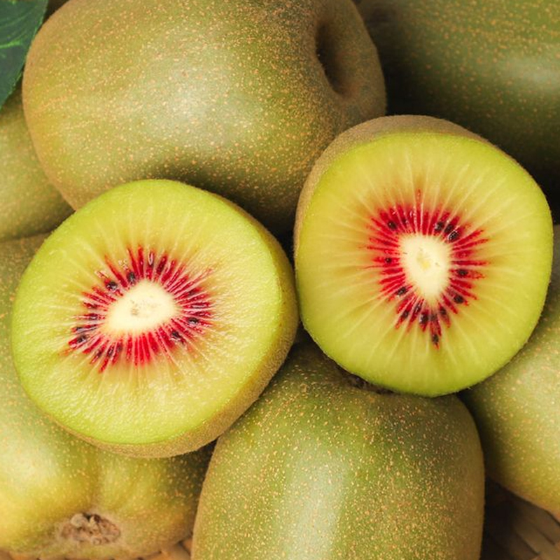 【到货需催熟】正宗四川红心猕猴桃非即食12粒水果孕妇水果包邮