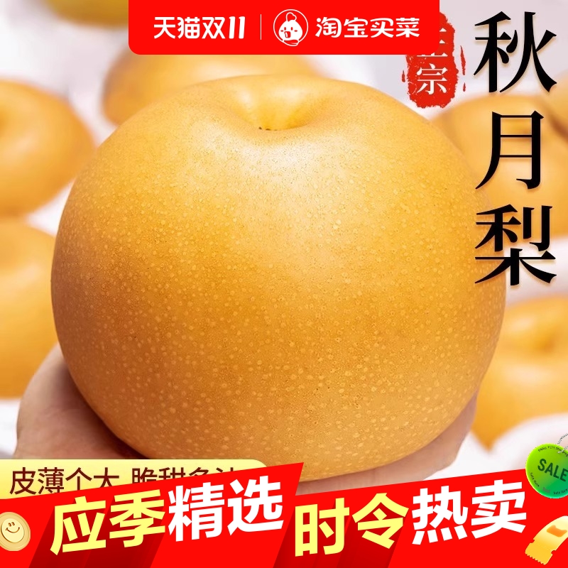 正宗山东秋月梨新鲜水果10斤当季现摘梨子大果冰糖梨整箱礼盒包邮