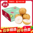 6.5斤多规格可选 礼盒装 佳农山东秋月梨清甜水润彩箱装 5斤