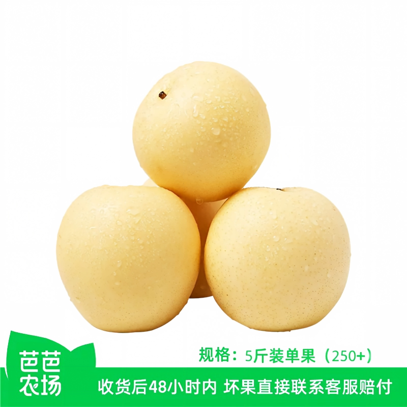 河北皇冠梨净重5斤装单果250g+图片