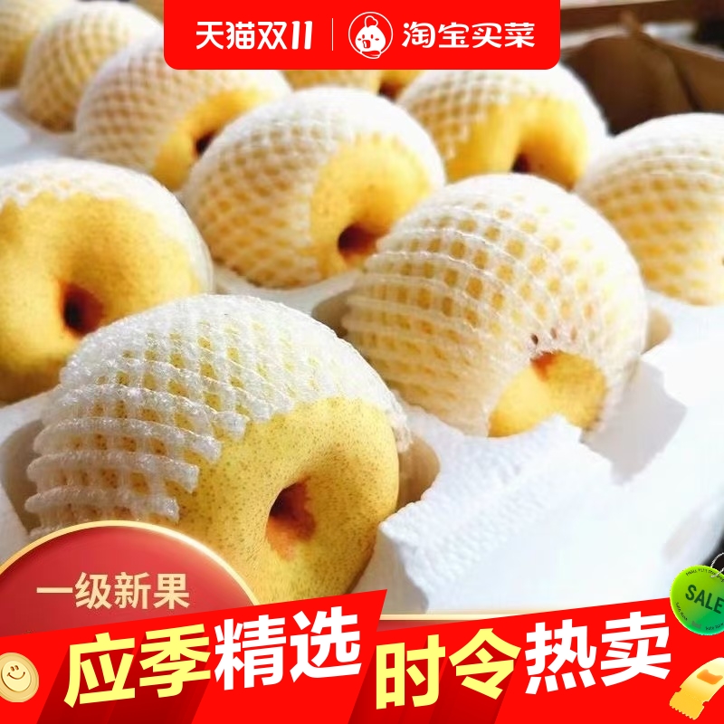正宗砀山酥梨应季新鲜梨子水果产地直发