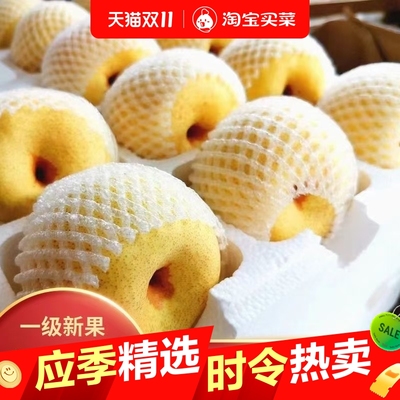 正宗砀山酥梨应季新鲜梨子水果产地直发