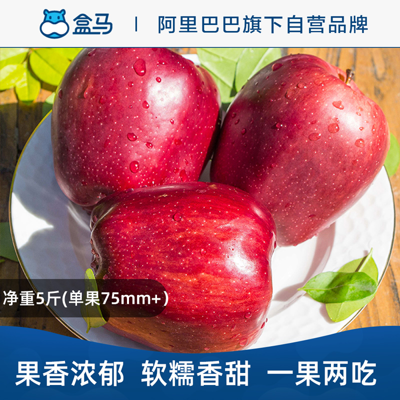盒马甘肃花牛苹果净重5斤中果一果两吃辅食粉苹果当季新鲜水果