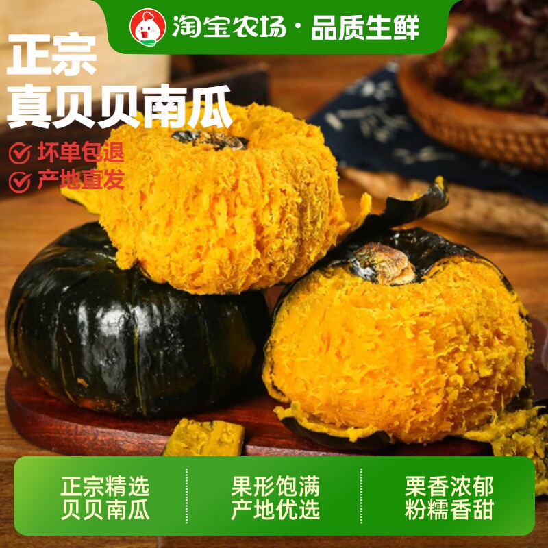 正宗贝贝南瓜栗香现摘蔬菜粉糯香甜产地直发黄金粗粮宝宝辅食农场