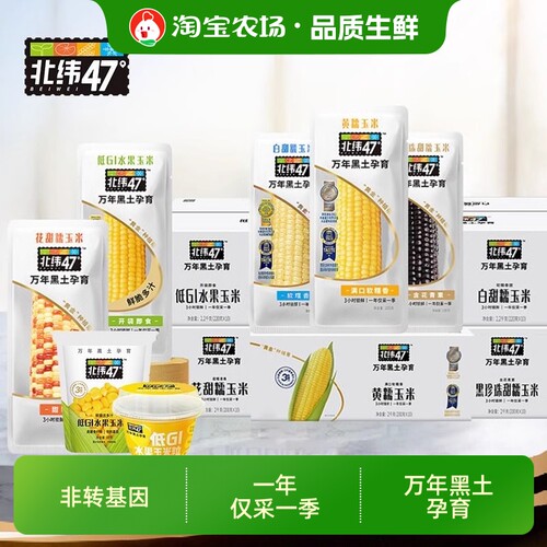 北纬47度糯玉米新鲜粗粮早餐低脂代餐真空礼盒装白甜香甜甜玉米