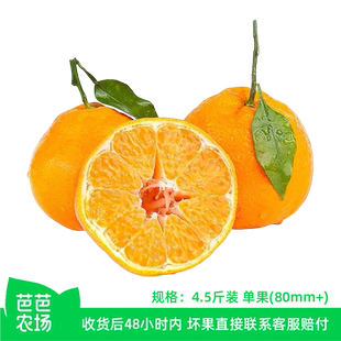 【芭芭农场】春见耙耙柑4.5斤80mm+