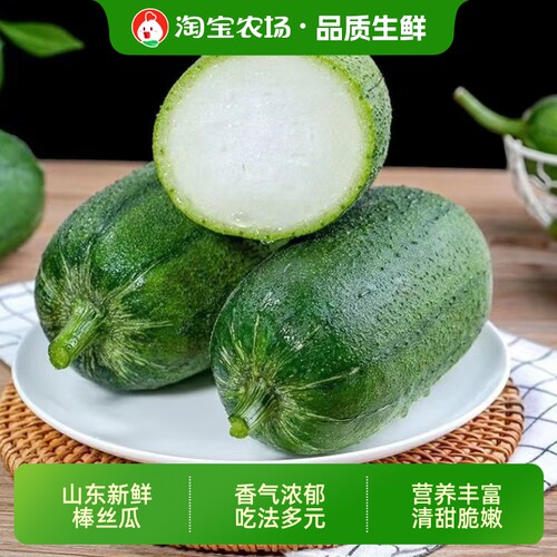 山东棒丝瓜圆丝瓜新鲜包邮不挑锅