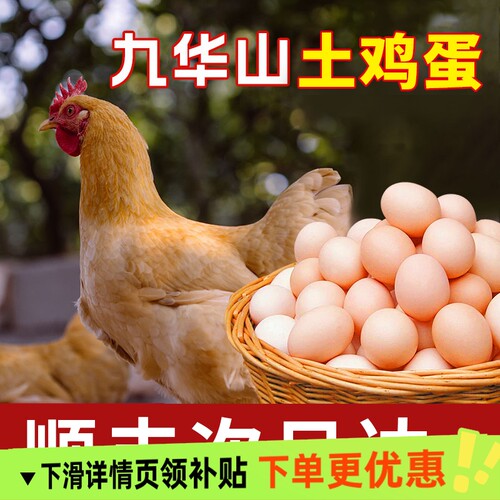 顺丰包邮100枚九华山正宗慢养土鸡蛋笨鸡蛋柴鸡蛋月子蛋40枚