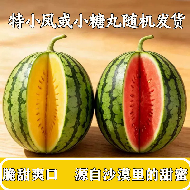 甘肃沙漠种植小糖丸和特小凤随机发货1-1.5斤小西瓜新鲜水果多汁