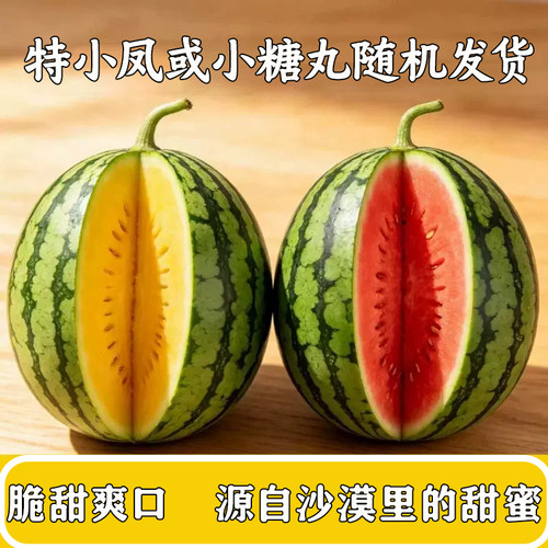 甘肃沙漠种植小糖丸和特小凤随机发货1-1.5斤小西瓜新鲜水果多汁