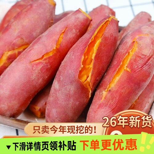 沙地蜜薯红薯新鲜番薯9斤装现挖糖心农家自种26年香甜大果早餐