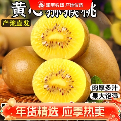 黄心猕猴桃新鲜包邮特大果