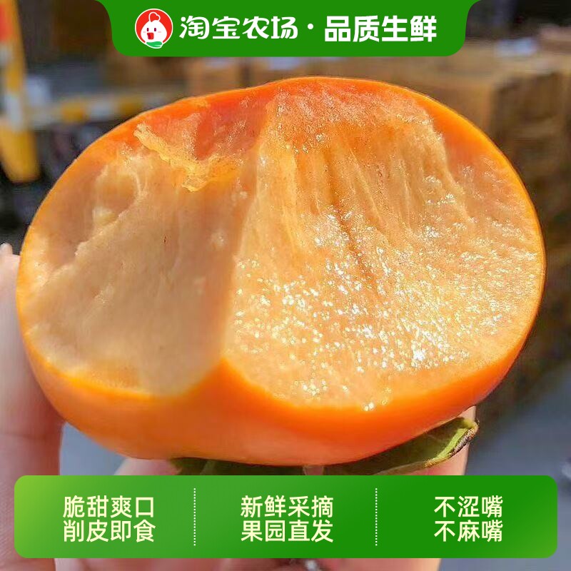 正宗山西阳丰脆柿新鲜应季柿子巧克力冰糖当季水果脆甜品种农场