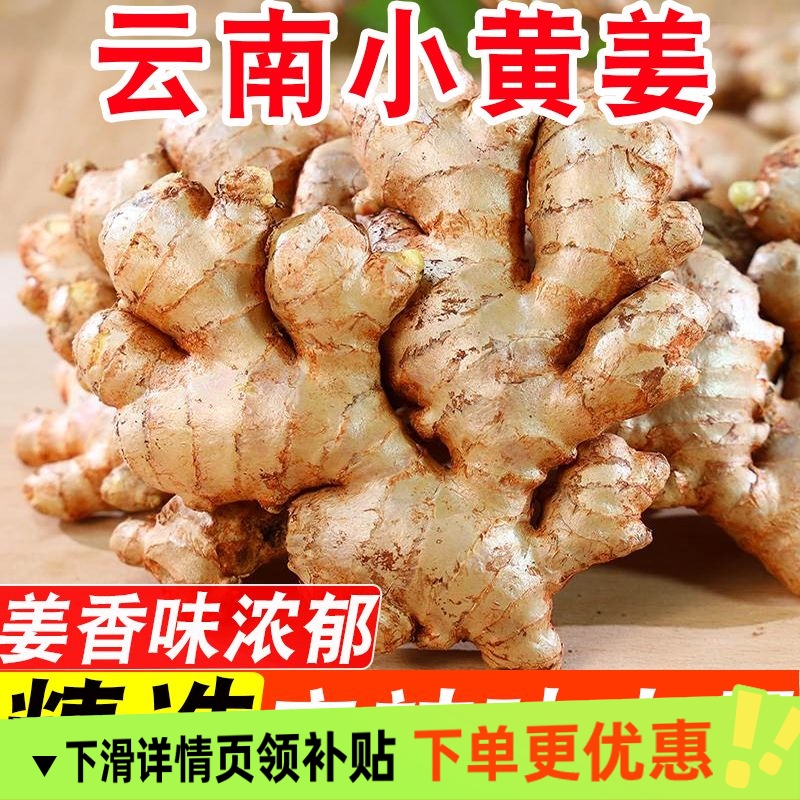 云南罗平嫩姜新鲜现挖仔姜非小黄姜特级鲜姜原小黄姜生姜新鲜老姜