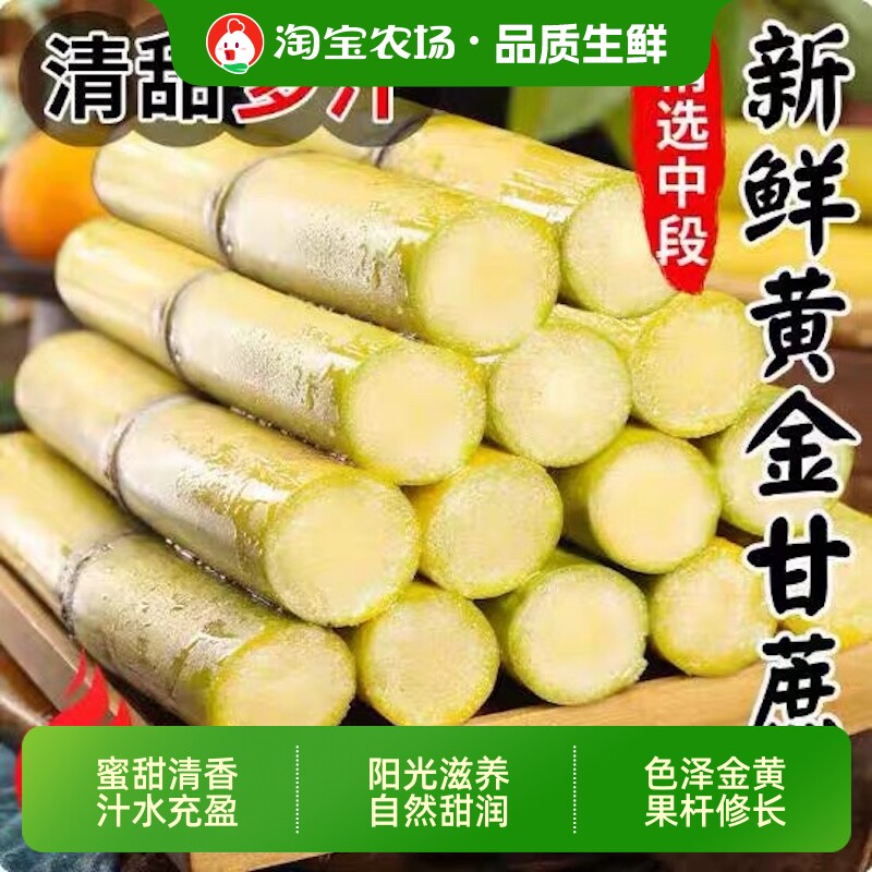 云南手剥黄金甘蔗新鲜当季水果黄皮甘蔗现砍脆甜多汁整箱精品皮薄