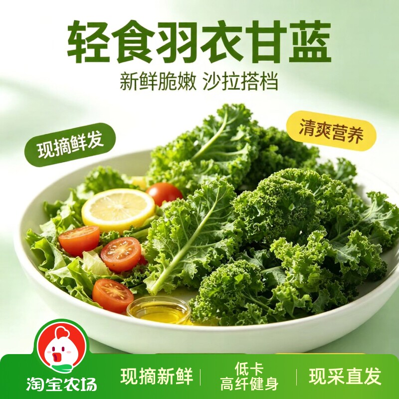 现摘新鲜羽衣甘蓝低卡高纤健身轻食榨汁蔬菜鲜嫩菜叶凉拌沙拉食用