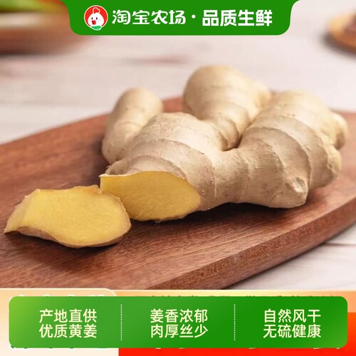正宗山东生姜老姜大姜新鲜农家黄姜3斤/5斤干姜自提嫩姜农场食用