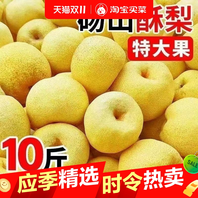 正宗砀山酥梨现摘梨子香梨农家种植应季新鲜水果整箱包邮