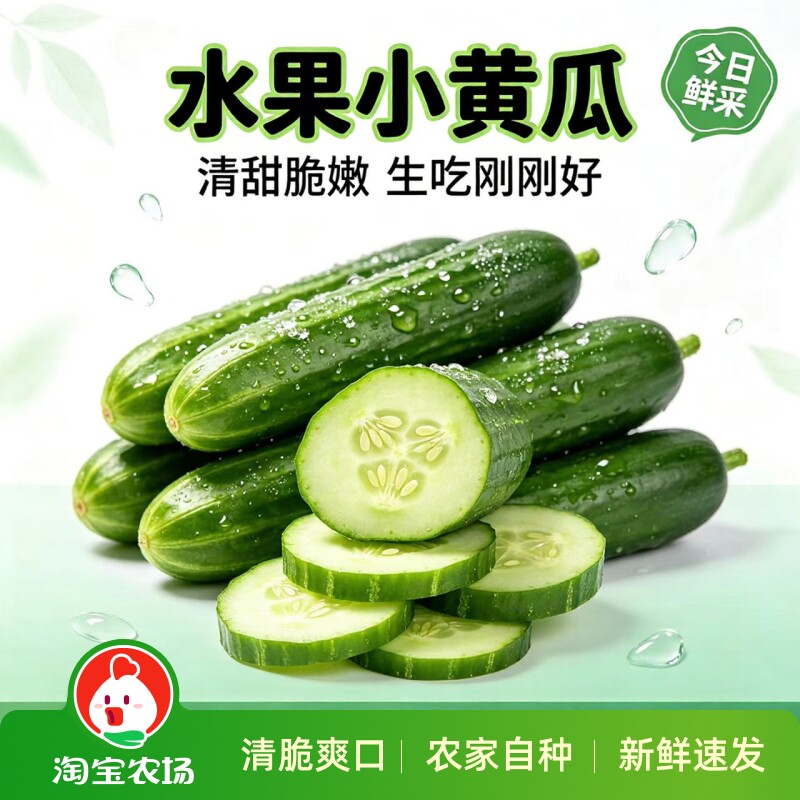 新鲜水果小黄瓜小青瓜旱黄瓜生吃农家自种现摘批发蔬菜即食农场