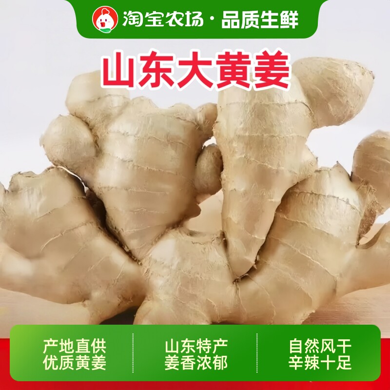 山东大姜老姜5斤生姜新鲜黄姜现挖子姜嫩姜鲜姜嫩正宗农场大块