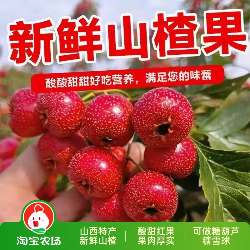 山楂果新鲜大金星特级现摘鲜山里红果水果山楂糖葫芦酸甜红果山楂