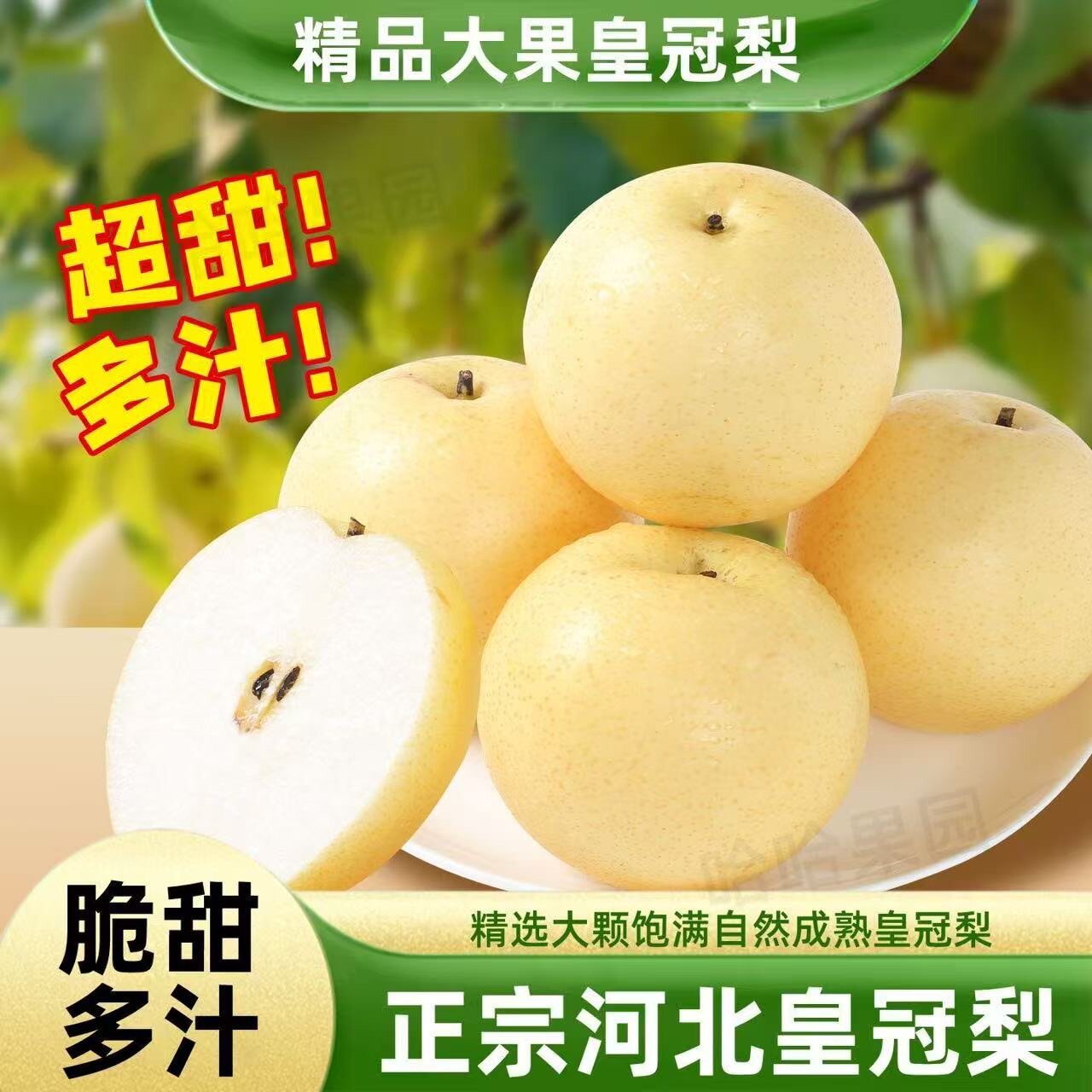 河北白皇冠梨2.5斤单果250g+