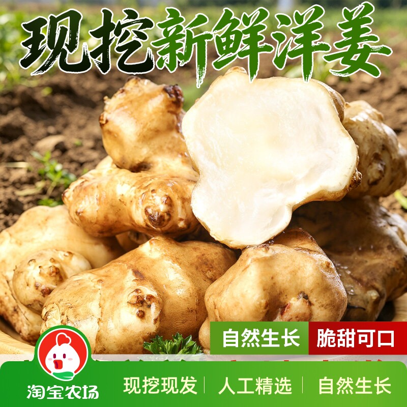 正宗洋姜新鲜现挖鬼子姜阳姜可泡菜腌制酱咸菜凉拌现货菊芋野生