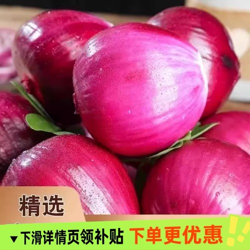 新鲜紫洋葱头现挖现发农家自种蔬菜可作水果吃脆甜汁水饱满蔬菜