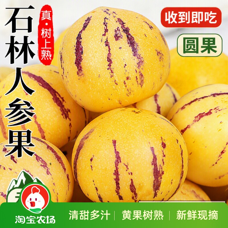 人参果新鲜水果现货云南石林树上熟黄心圆果人生果9斤甄选农场