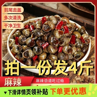 香辣麻辣田螺熟食袋装 500g口味嗦螺儿时零食螺蛳饭店商用肉质饱满