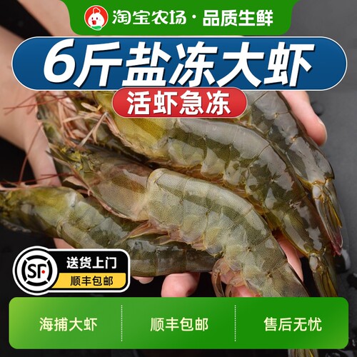新鲜海捕大虾冷冻速冻冰鲜特大号南美白对虾海鲜基围虾水产白虾