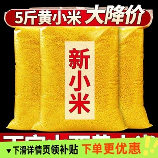 山西农家黄小米新米月子米五谷杂粮米糯小米农家黄米当季 新粮5斤