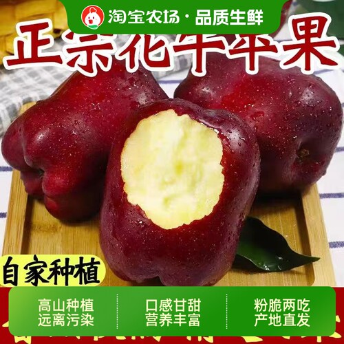 甘肃天水花牛苹果新鲜水果粉面宝宝老人蛇果8斤装鲜果直发沙甜